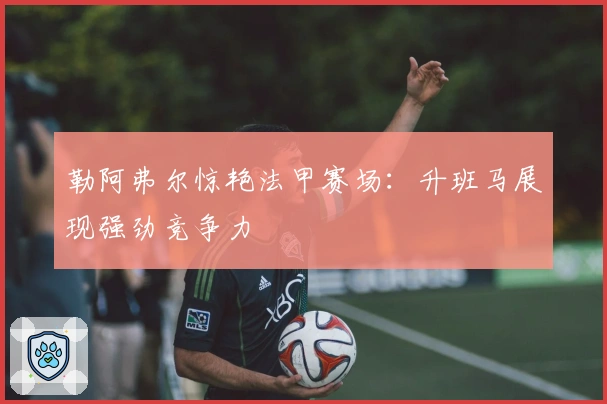 勒阿弗尔惊艳法甲赛场：升班马展现强劲竞争力